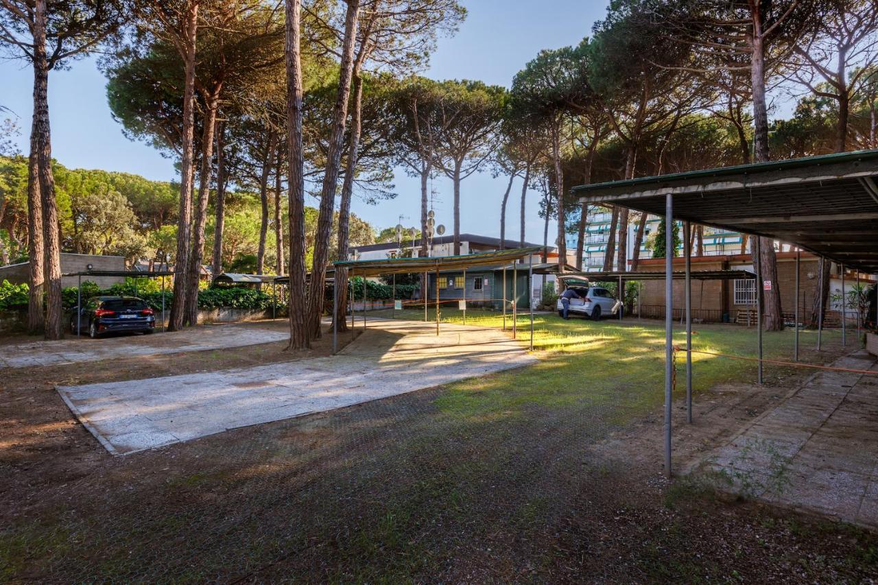 Hotel Picobello Pineta Τζεσόλο Λίντο Εξωτερικό φωτογραφία